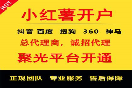 百度推广的广告投放策略案例